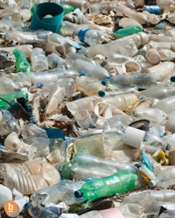 Alarming Increase in Plastic Pollution Unveiled by Recent Study